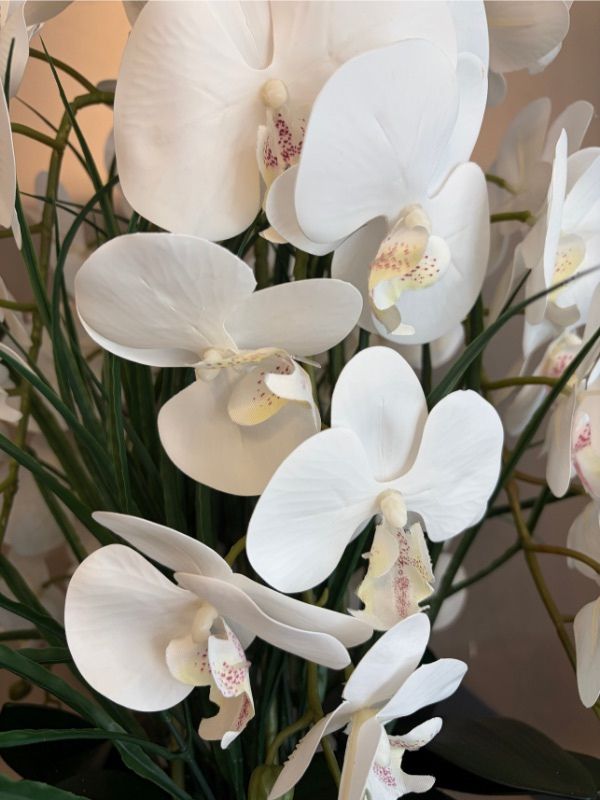 Premium White Orchid Arrangement – Brass-Finish Bowl Decorative Faux Floral Design