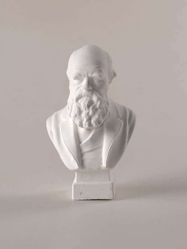 Dostoevsky Sculpture Bust