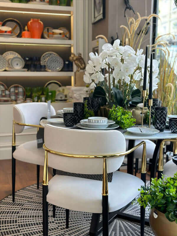 Modern Dining Off-White Chair