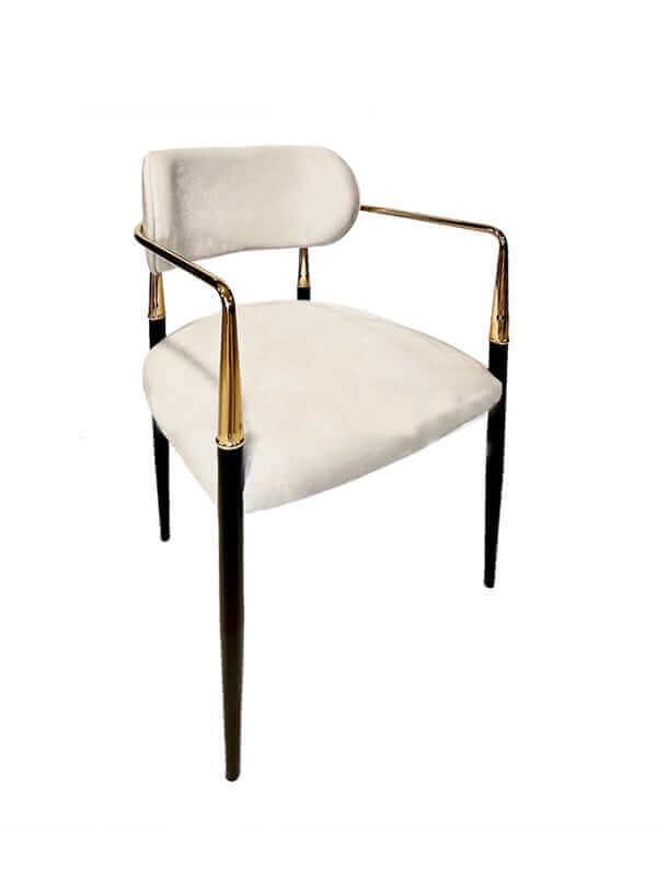 Modern Dining Off-White Chair