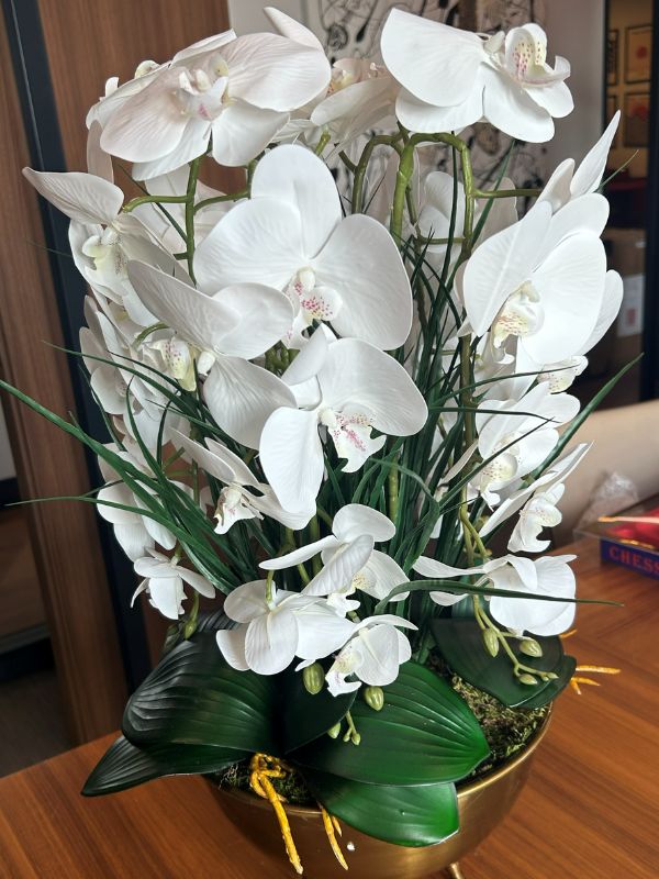 Premium White Orchid Arrangement – Brass-Finish Bowl Decorative Faux Floral Design
